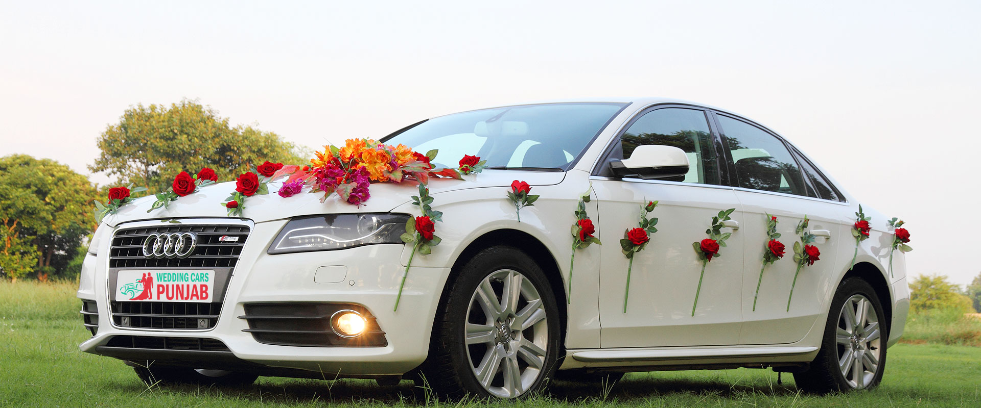 Audi Wedding cars Punjab wedding cars punjab Wedding Cars Punjab audi car banner